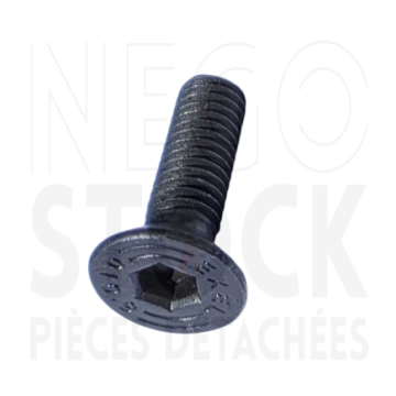 189908 VISF Z DIN 965A 6X20...