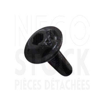 00001305477 VIS TRL M5X16...