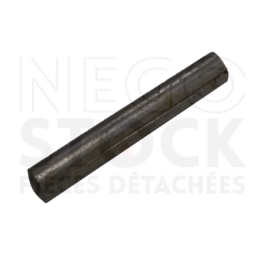 134701 GOUPILLE CANNELLEE...