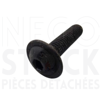 00001301156 VIS TRL M5X20...