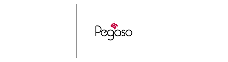 Pièces détachées pour Pegaso